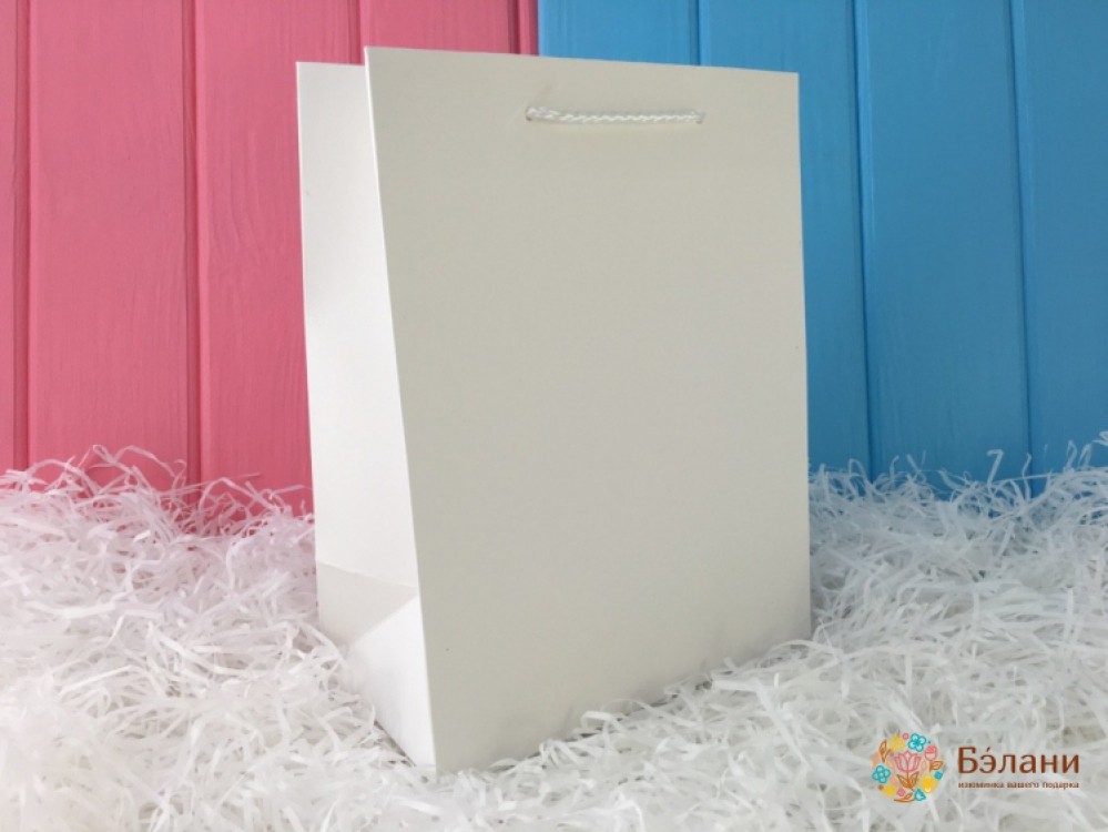 Подарунковий пакет 11173 (мал.)