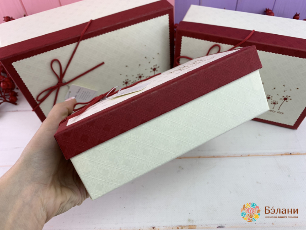 Подарочная коробка "Одуванчики" бело-красная | 2