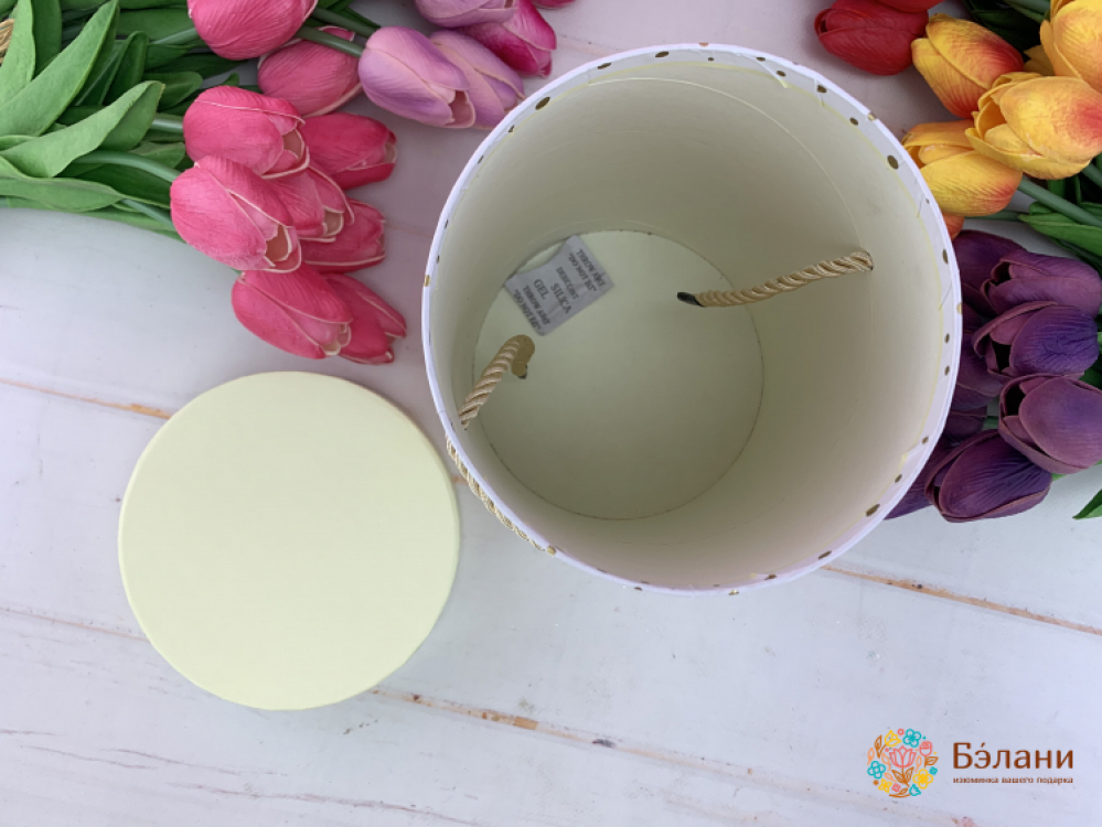 Круглая коробка "Gold lines" бежевая | 2