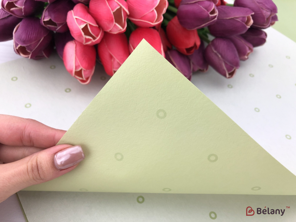 Калька для квітів "Areol" #081 | 2