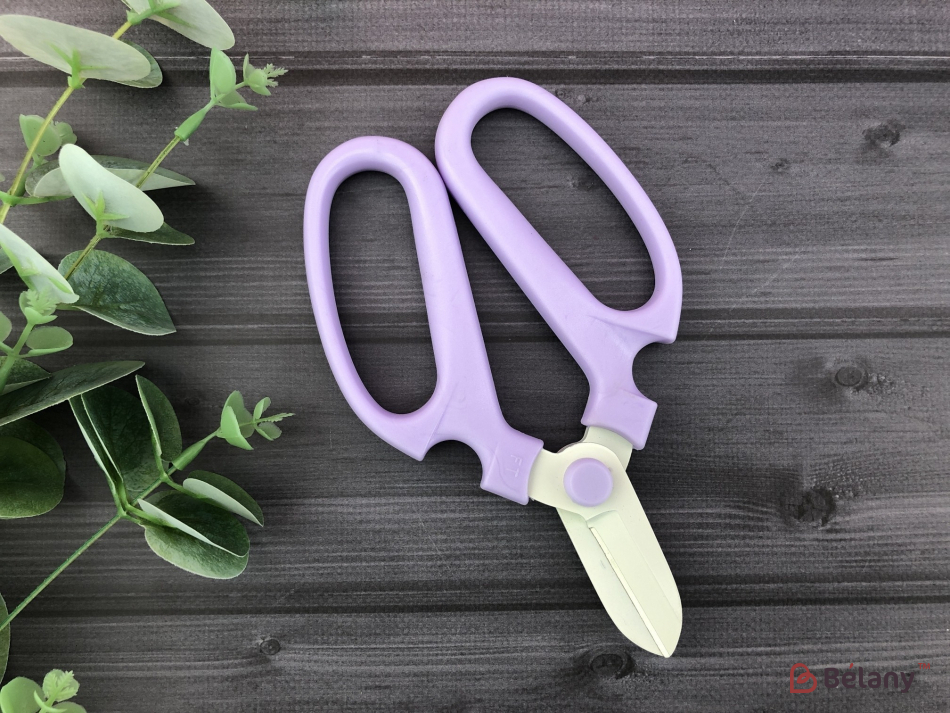Флористичні ножиці "Rainy" фіолетовий