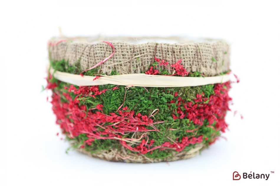 Набор круглых кашпо "Forest" красный | 2