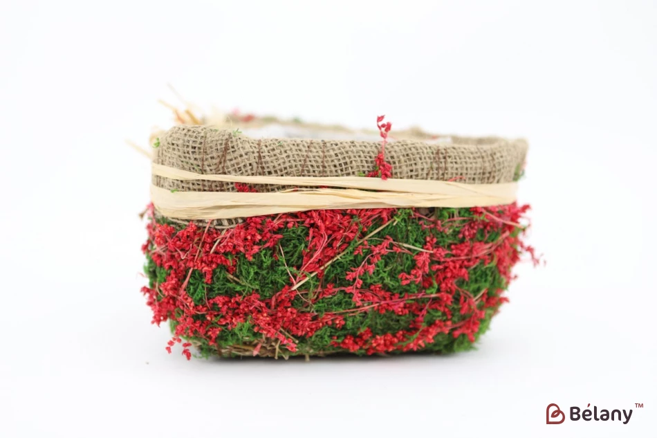 Набор кашпо в форме сердца "Forest" красный