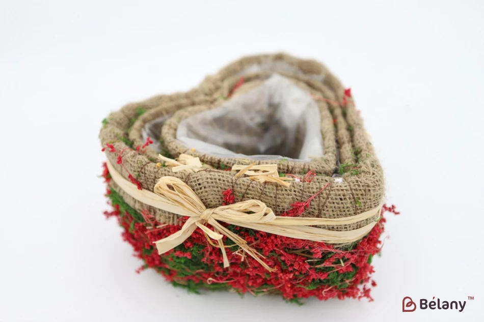 Набор кашпо в форме сердца "Forest" красный | 2