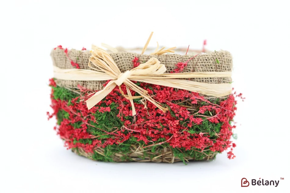 Набор кашпо в форме сердца "Forest" красный | 3