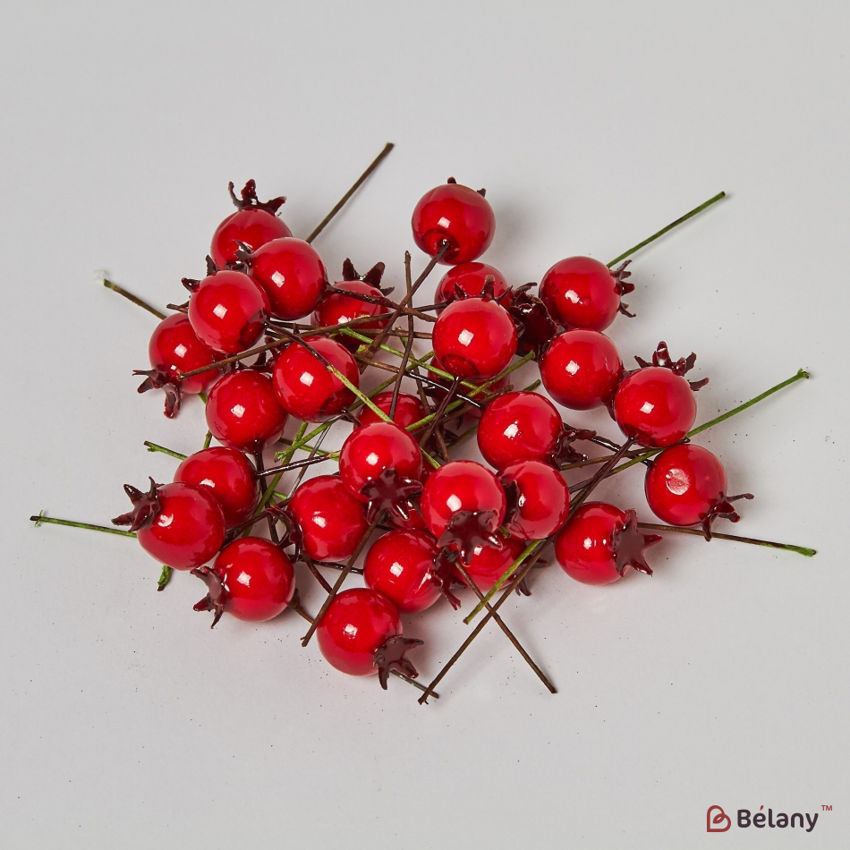 Декоративные плоды граната "Bright red"
