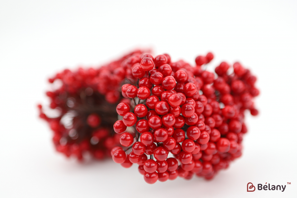 Ягода на веточке красная