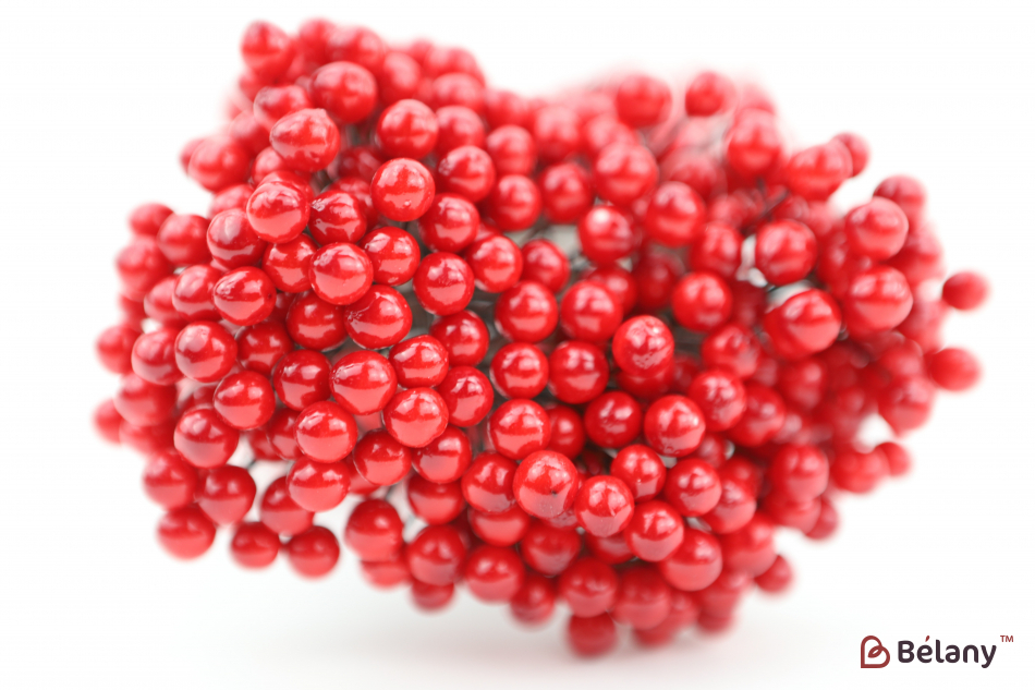 Ягода на веточке красная | 2