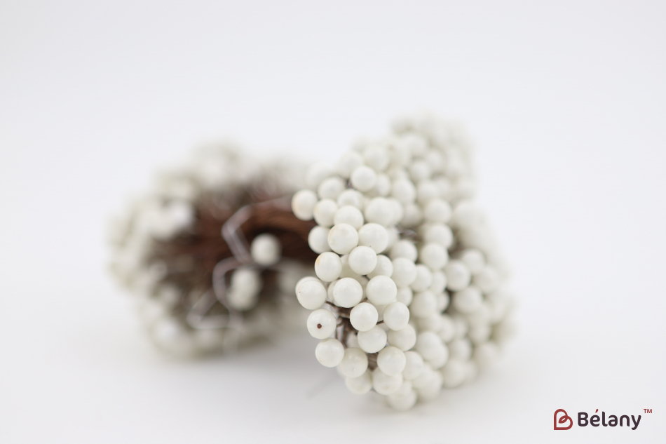 Ягода на веточке белая