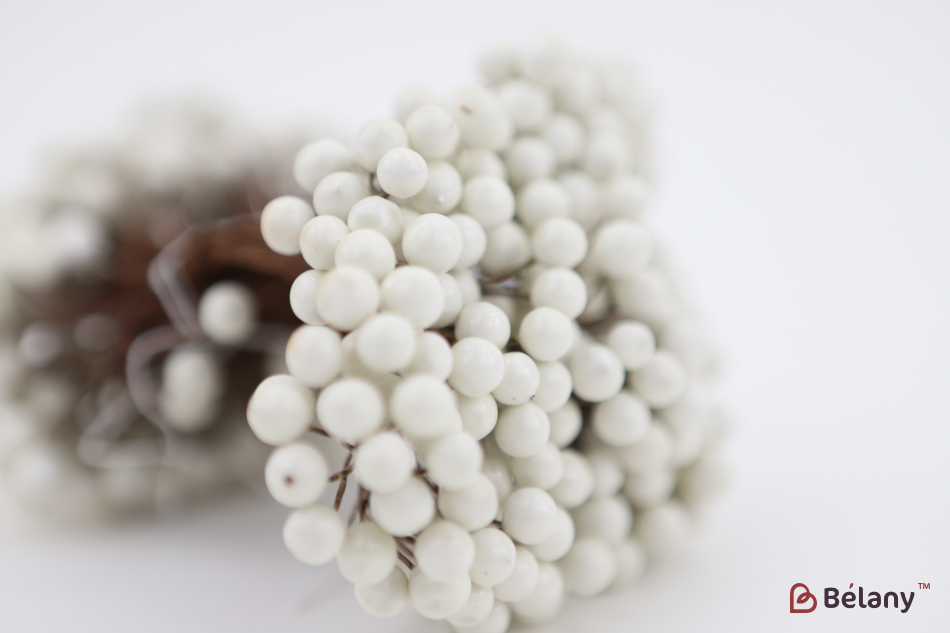 Ягода на веточке белая | 2