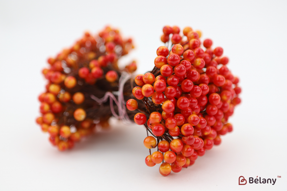 Ягода на веточке красно-желтая