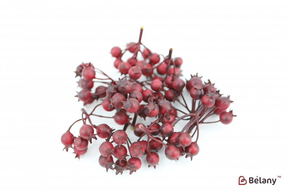 Декоративні плоди гранату "Bordeaux"