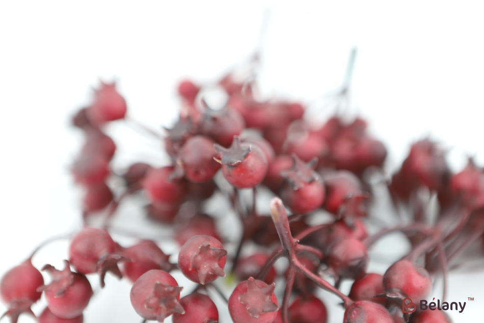 Декоративні плоди гранату "Bordeaux" | 2