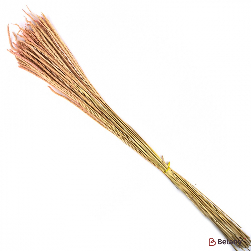 сухоцвет "03" | 2