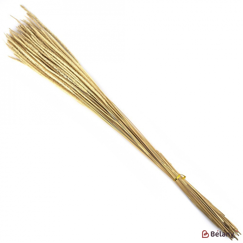 сухоцвет "07" | 2