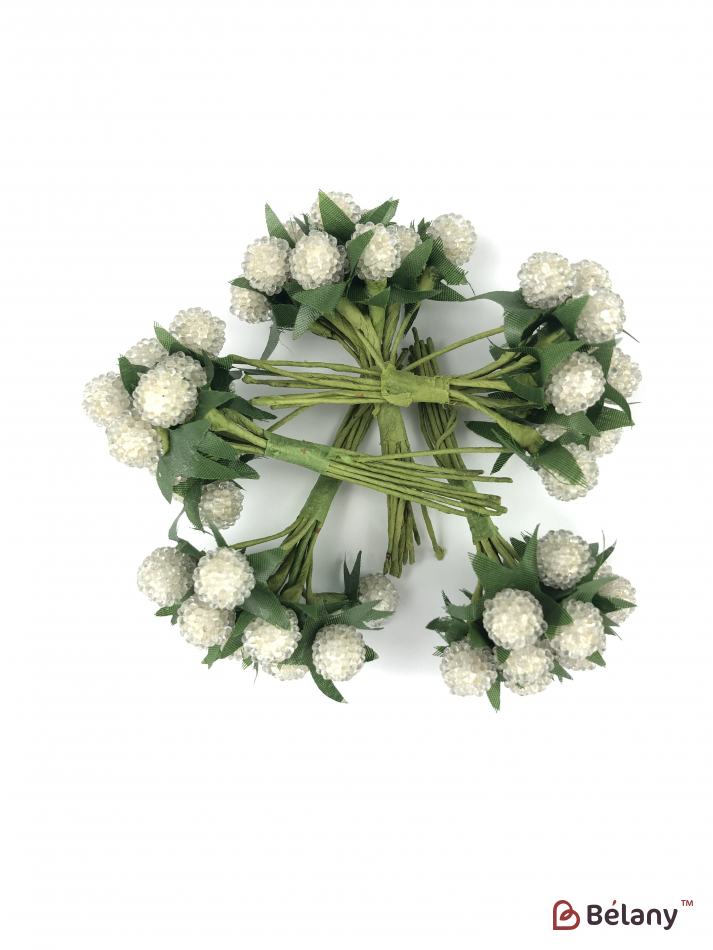 Ягода сахарная с лепестками белая