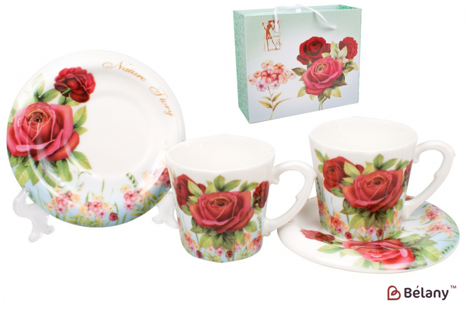 Фарфоровый кофейный набор 90 мл( 2 чашки с блюдцами) "Elina" в подарочной коробке
