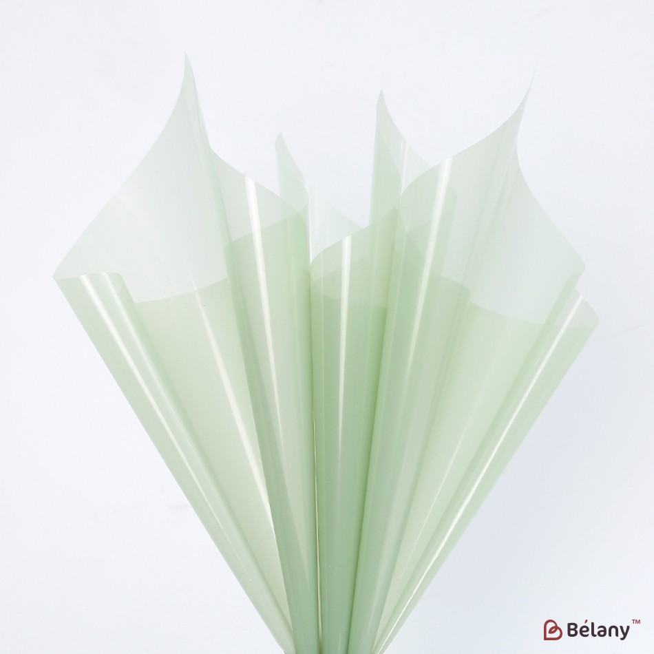 Калька для цветов "Glossy" #081