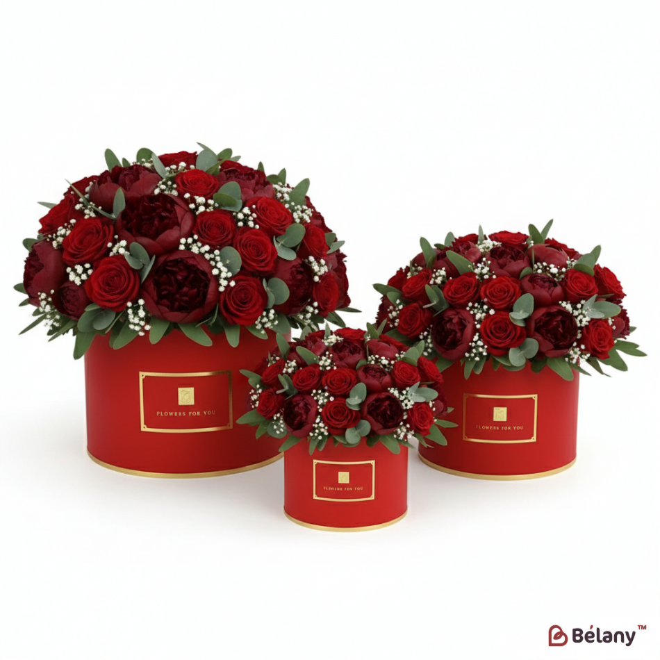 Кругла коробка "Monde" червона