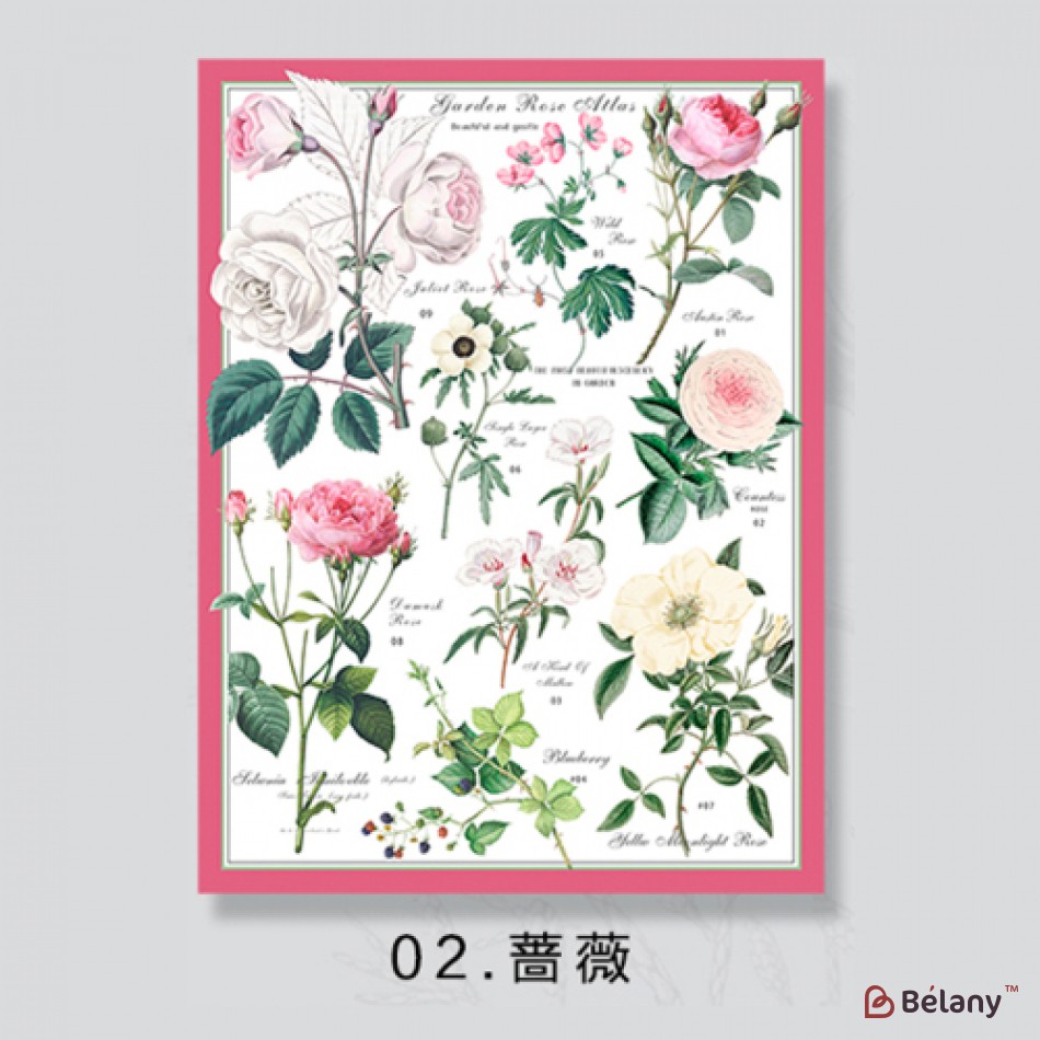 Бумага "Flowery" 85грамм #02