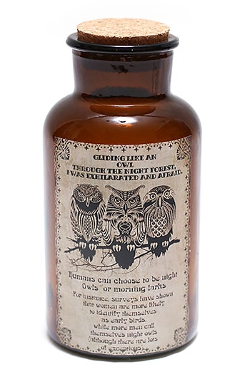 Декоративна пляшечка 17.8см із малюнком Сови та пробкою