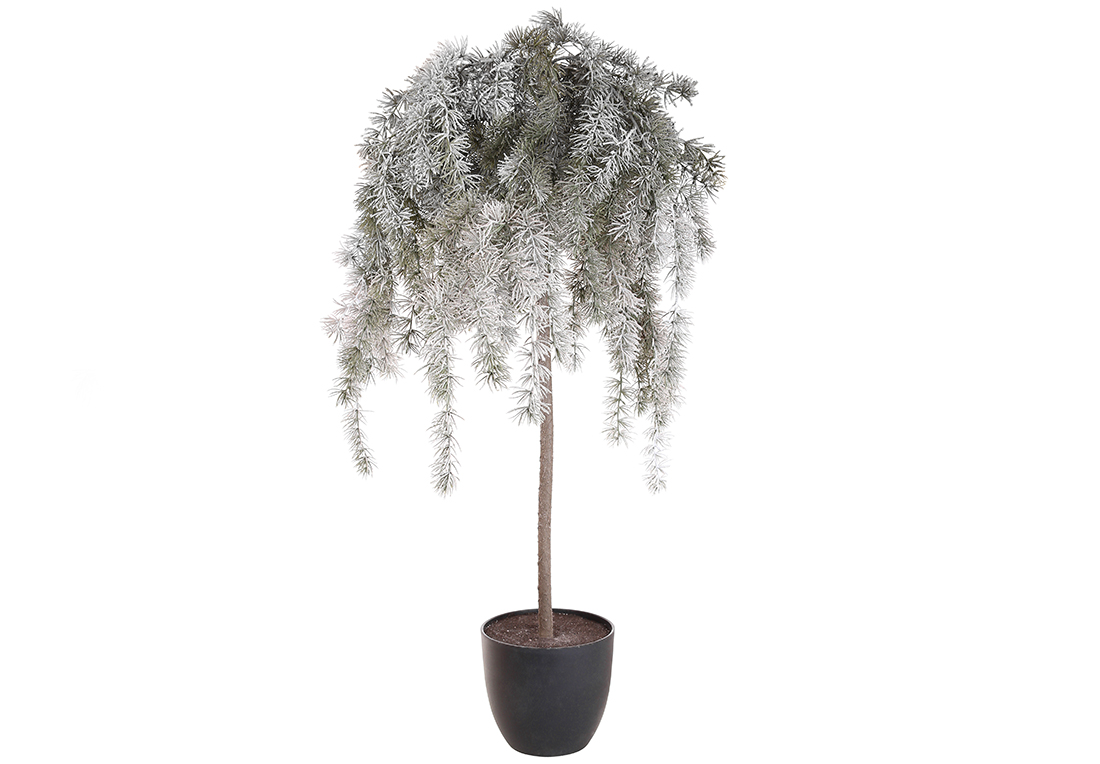 Декоративне дерево засніжений Кедр у горщику, 120см