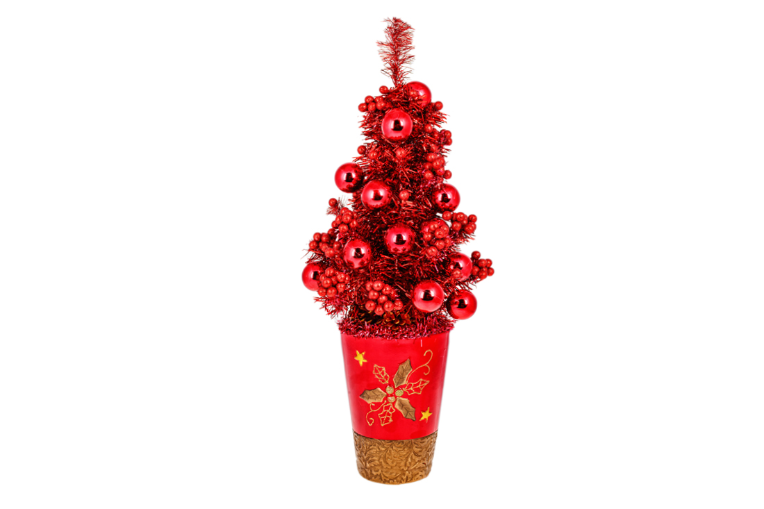 Ялинка декоративна у горщику