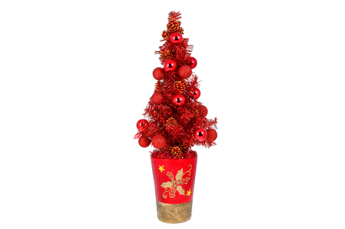 Ялинка декоративна у горщику