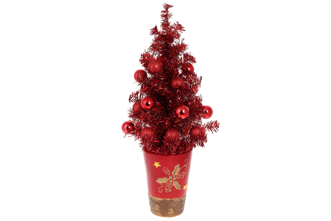 Ялинка декоративна в горщику