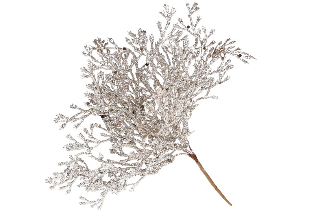 Пучок Корал маленький 20см, колір - шампань