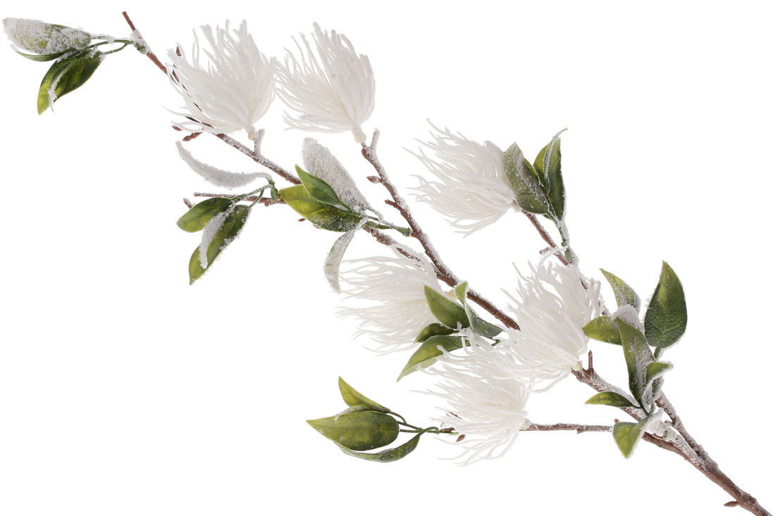 Декоративна засніжена гілка Протея з листям, 75см