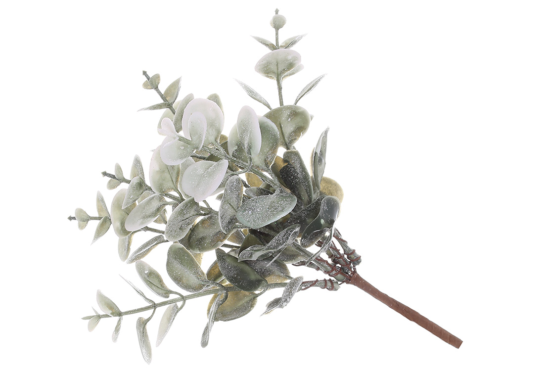Гілка Евкаліпта з покриттям "лід" 19.5см