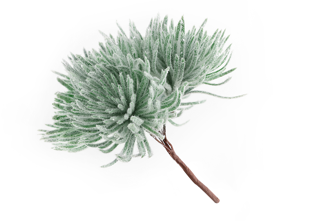 Декоративна гілка Італійської сосни в інеї 14см