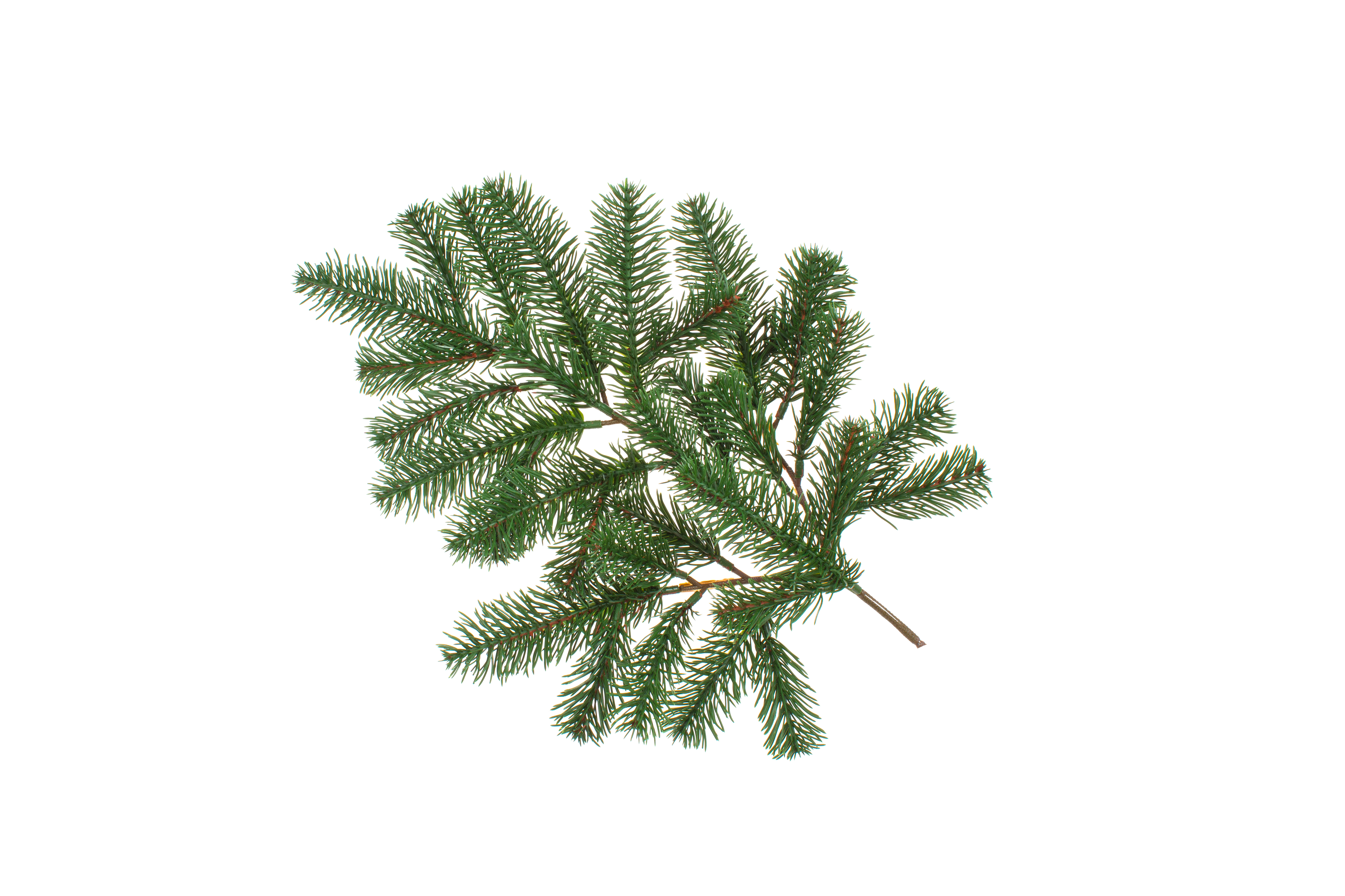 Гiлка лита Premium зелена 53см