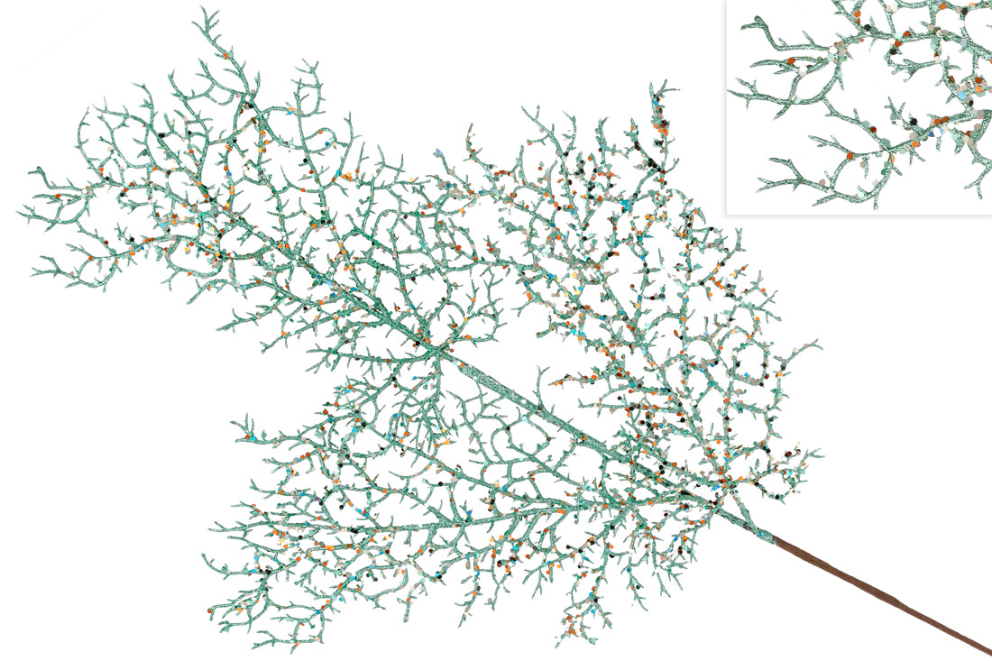 Декоративна гілка Корал 80см, колір - бірюзовий гліттер