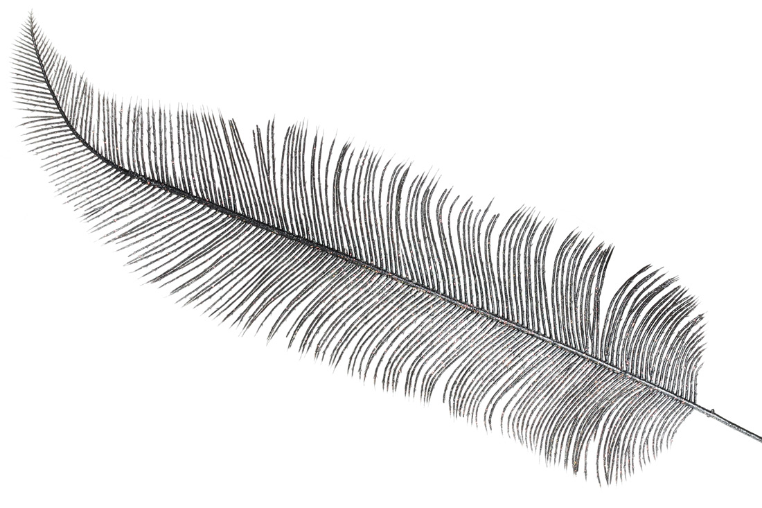 Декоративна гілка Листя пальми, 82см, колір - антрацит