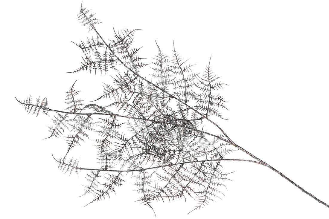 Декоративна гілка Кіпаріс, 89см, колір - графіт з кольоровим гліттером