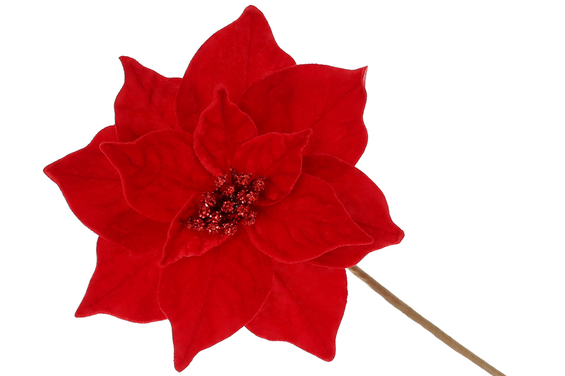 Декоративна квітка Пуансетія з оксамиту 22см, ніжка 50см, колір - глибокий червоний