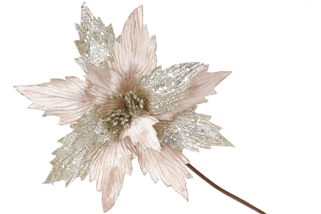 Декоративна квітка Пуансетія 29см, довжина ніжки 50см, колір - крем-шампань