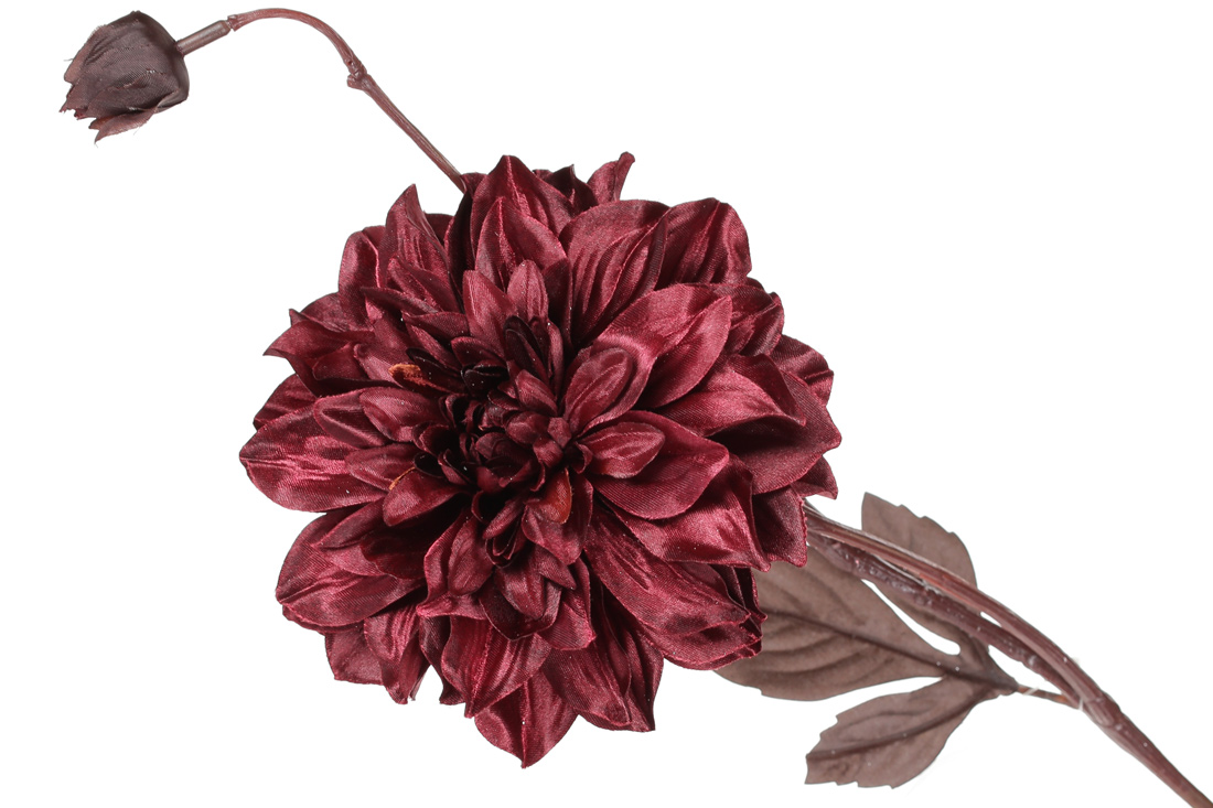 Жоржина з бутоном 81см, колір - винний бордо