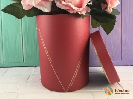 Красная шляпная коробка "V"