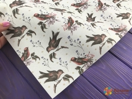 Упаковочная бумага "Птички" (50/70 см)