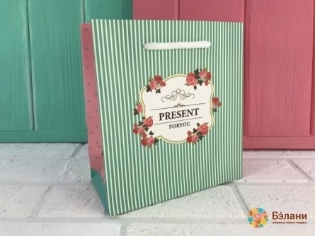 Пакет "Present" мятный M