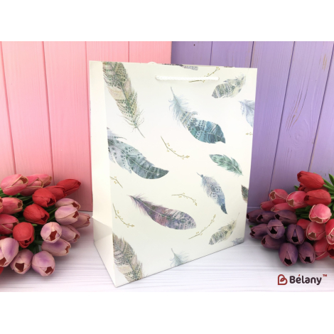 Подарочный пакет "Feathers" S