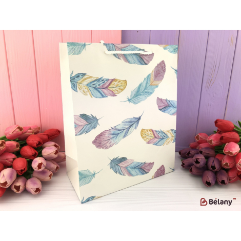 Подарочный пакет "Feathers" M