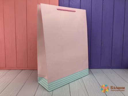 Подарочный пакет "Color and Line" розовый L