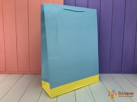 Подарочный пакет "Color and Line" синий L