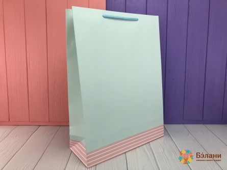 Подарочный пакет "Color and Line" голубой L