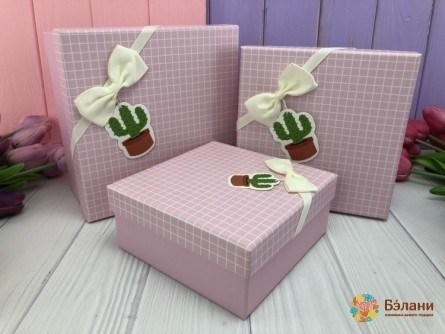 Розовая подарочная коробка "Cactus"
