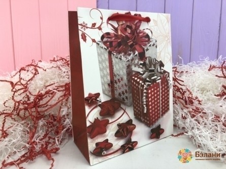 Новогодний пакет «Present» M